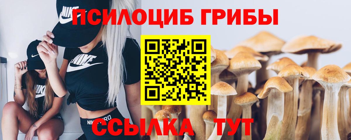 Северобайкальск  Псилоцибиновые грибы мицелий  Псилоцибиновые грибы мицелий  Вход с VPN 